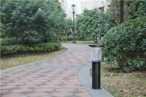 城市公园灭蚊使用太阳能灭蚊灯