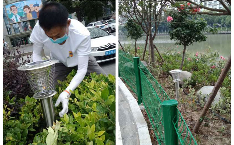 医院太阳能灭蚊灯