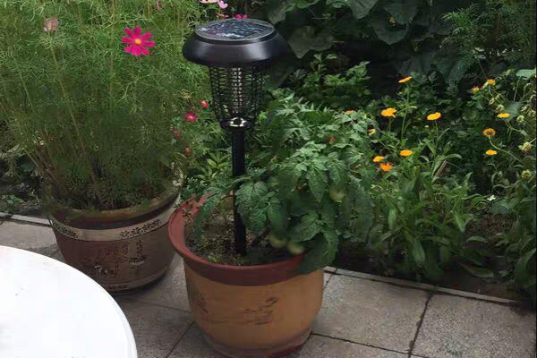 一盏花园灭蚊灯可以照亮并呵护庭院之美