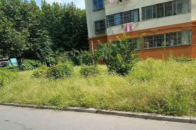 小区蚊子多物业不管 小区蚊子多物业不管