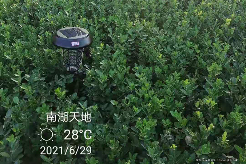 与太阳能灭蚊灯一起打卡嘉兴南湖天地