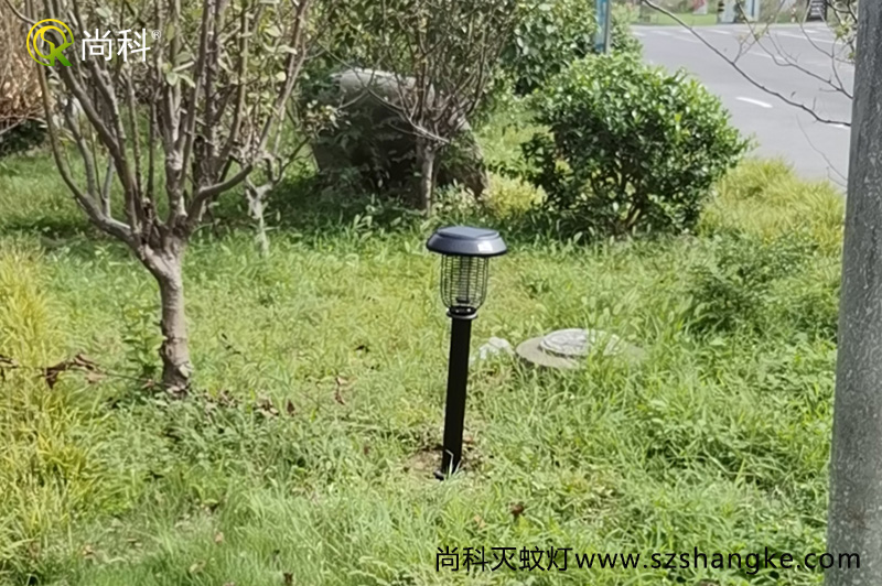 浙江嘉兴无蚊村的秘密，太阳能灭蚊灯是亮点