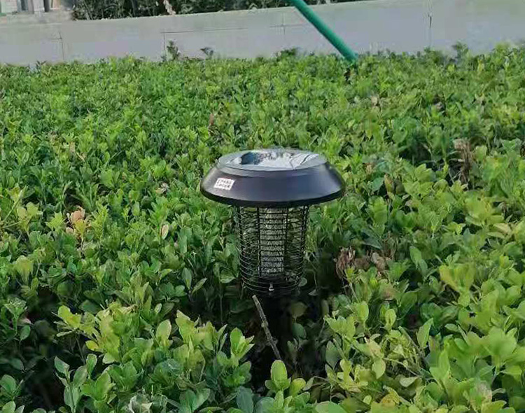 别墅花园怎么灭蚊，方法分享