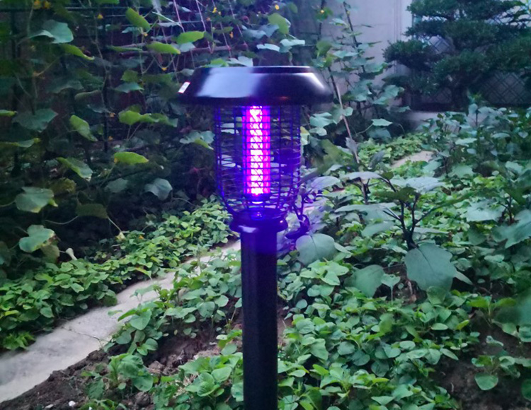 除了灭蚊灯，夏天户外防蚊的方法还有哪些